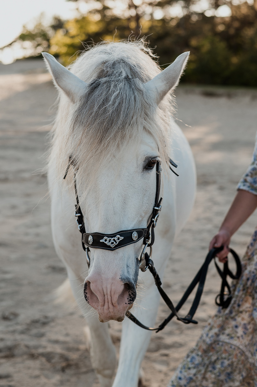 Dayofmylife-fotoshoot-loveshoot met paard-loveshoot-zandverstuiving-doornspijk-fotograaf-bruidsfotograaf-trouwfotograaf-elburg-zwolle-bruidsfotografie-loveshoot-goldenhour-9