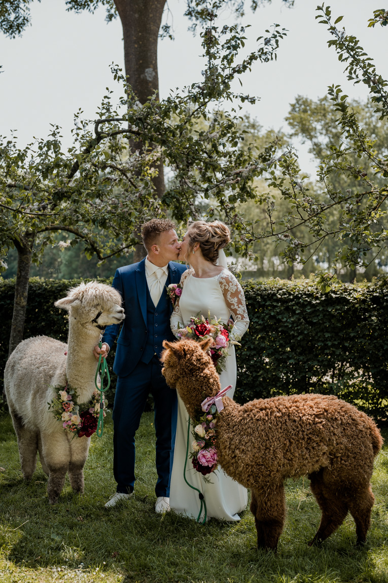 Dayofmylife,bruidsfotografie,kampen,trouwen,bruidspaar,fotoshoot,trouwfotograaf,overijssel,alpacas-48
